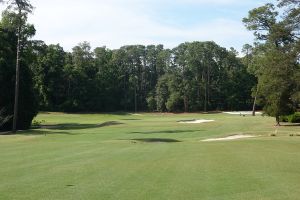 Palmetto 14th Fairway